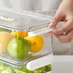 Refrigerator storage box food-safe PET container single and double layer