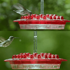 Ant proof hummingbird feeder outdoor hanging with 30 ports and built-in ant moat, 12 oz