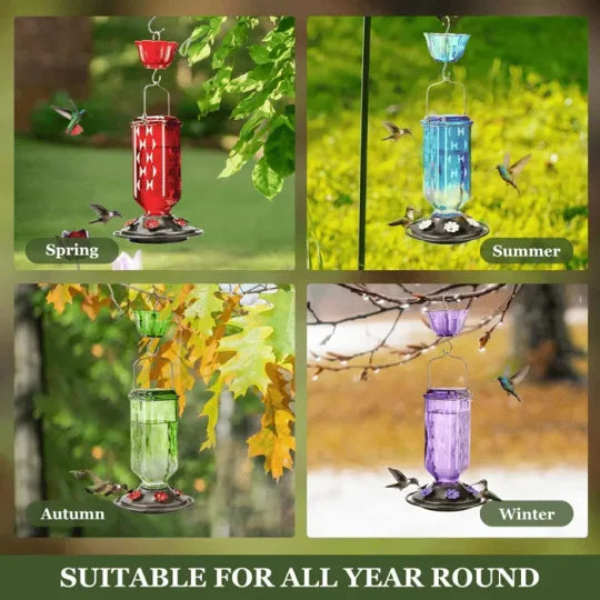 Glass hummingbird feeder 24oz leak-proof with 6 flower-shaped feeding ports and perches