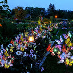 Solar butterfly lights outdoor garden decor, IP65 waterproof, 56 LED warm and colorful