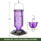 Glass hummingbird feeder 24oz leak-proof with 6 flower-shaped feeding ports and perches