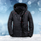Men's winter jacket waterproof windproof insulated with hood, multiple colours