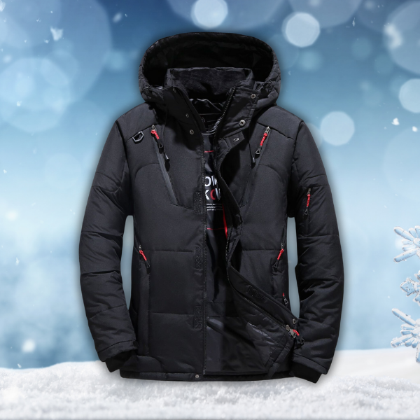Men's winter jacket waterproof windproof insulated with hood, multiple colours