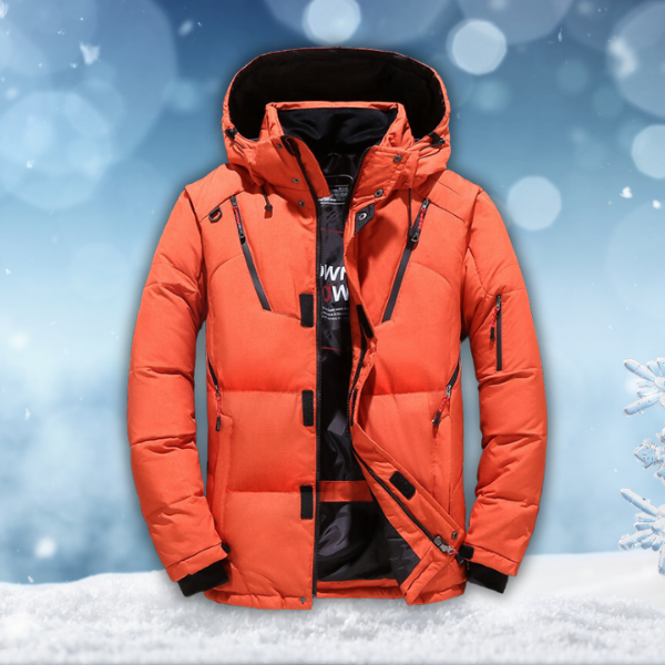 Men's winter jacket waterproof windproof insulated with hood, multiple colours