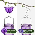 Glass hummingbird feeder 24oz leak-proof with 6 flower-shaped feeding ports and perches