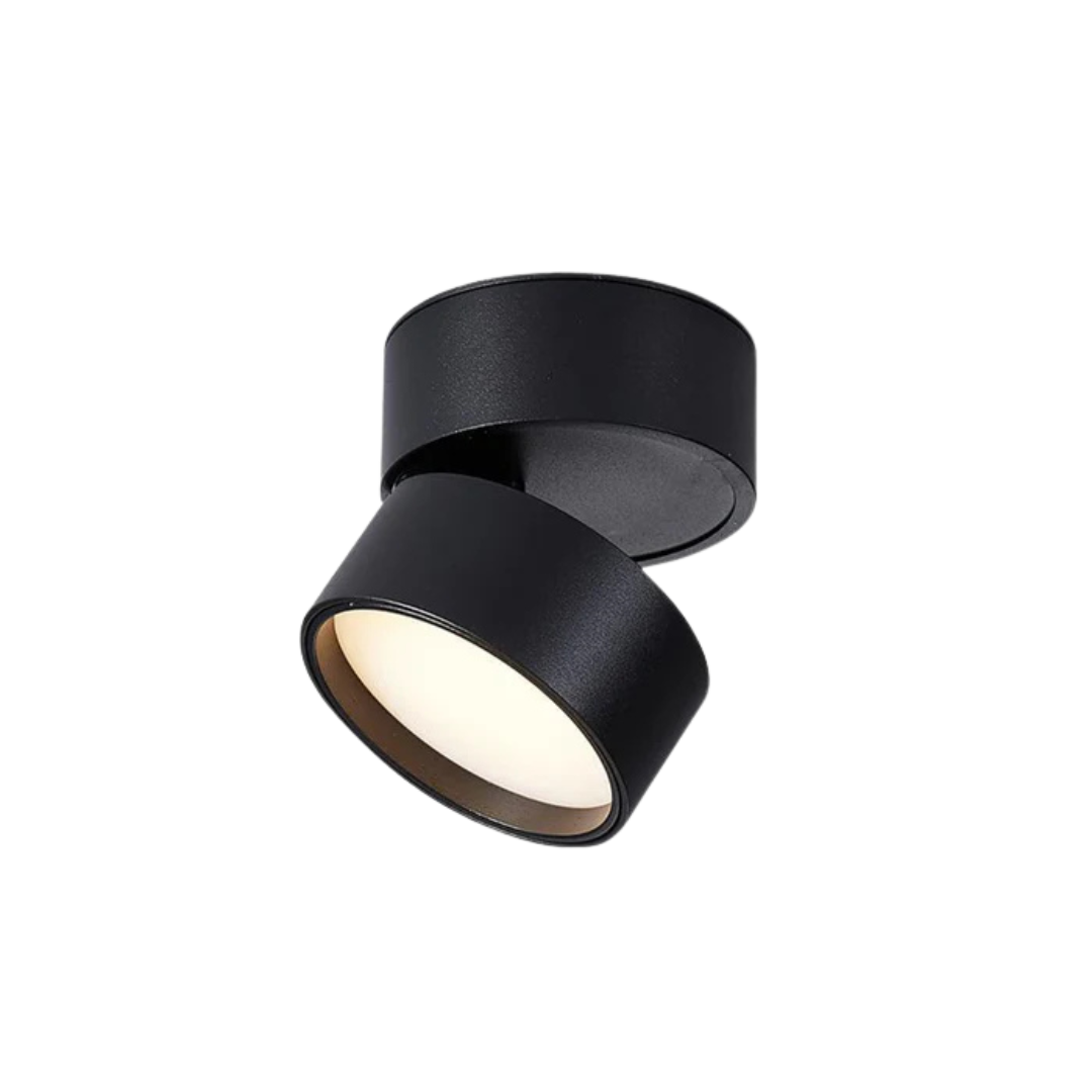 LED ceiling spotlight adjustable rotating head, minimalist aluminum, black and white