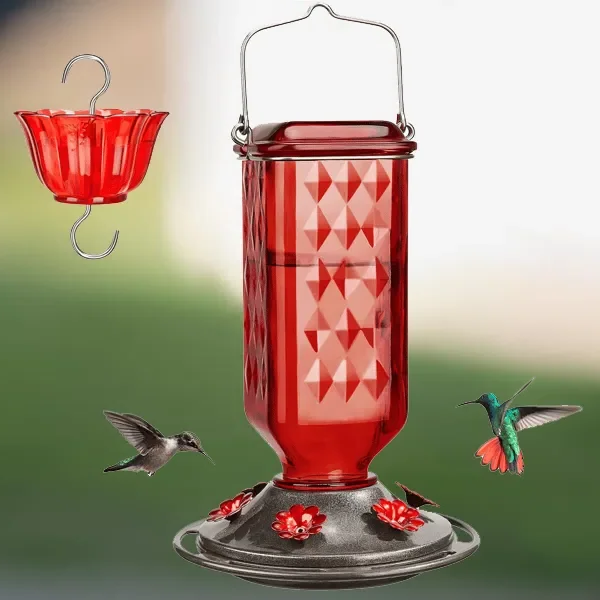 Glass hummingbird feeder 24oz leak-proof with 6 flower-shaped feeding ports and perches