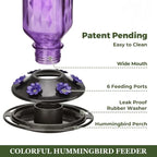 Glass hummingbird feeder 24oz leak-proof with 6 flower-shaped feeding ports and perches