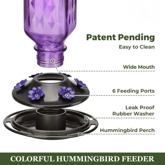 Glass hummingbird feeder 24oz leak-proof with 6 flower-shaped feeding ports and perches