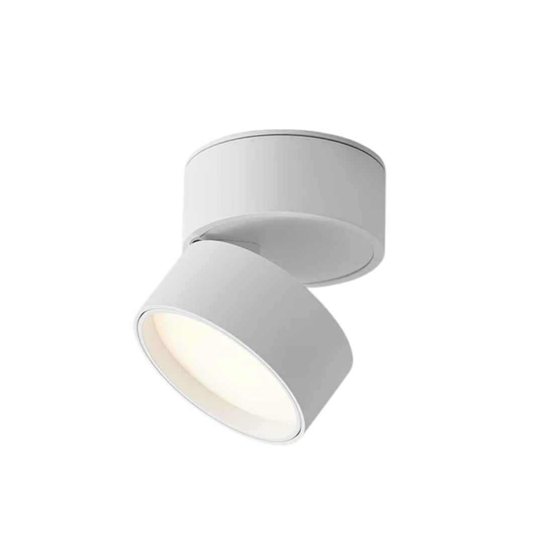 LED ceiling spotlight adjustable rotating head, minimalist aluminum, black and white