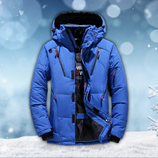Men's winter jacket waterproof windproof insulated with hood, multiple colours