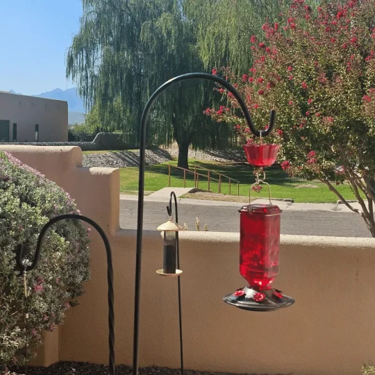 Glass hummingbird feeder 24oz leak-proof with 6 flower-shaped feeding ports and perches