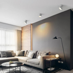 LED ceiling spotlight adjustable rotating head, minimalist aluminum, black and white