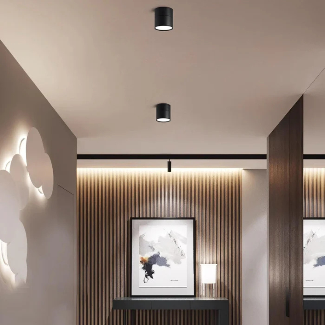 LED ceiling spotlight adjustable rotating head, minimalist aluminum, black and white