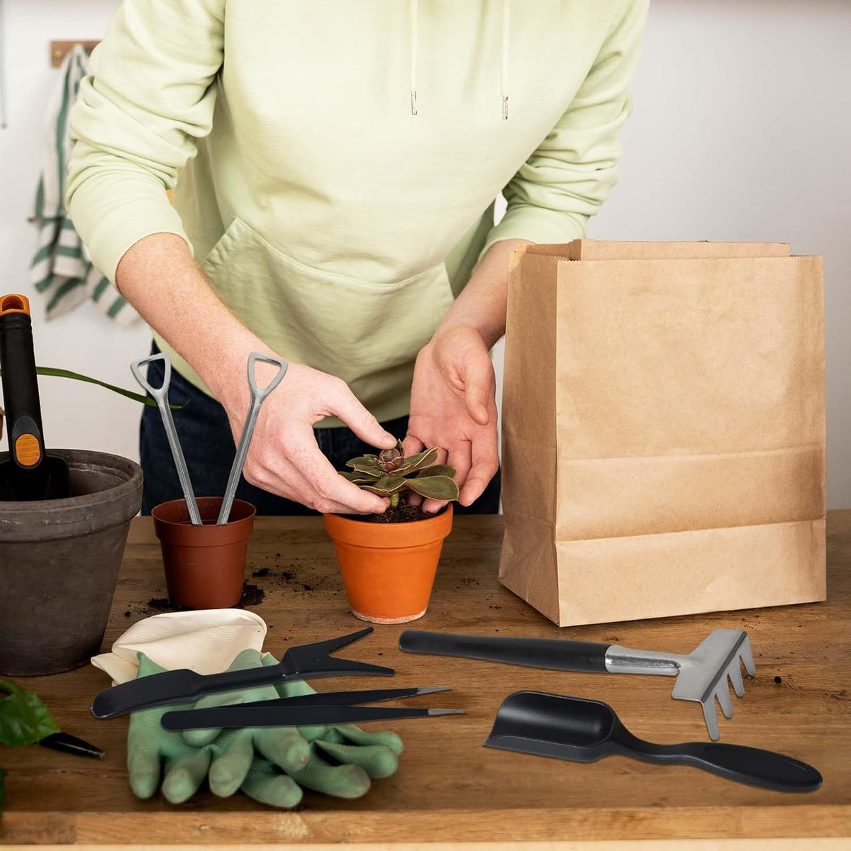 Succulent tool set 12-in-1 stainless steel with linen storage bag for indoor plants