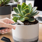 Succulent tool set 12-in-1 stainless steel with linen storage bag for indoor plants