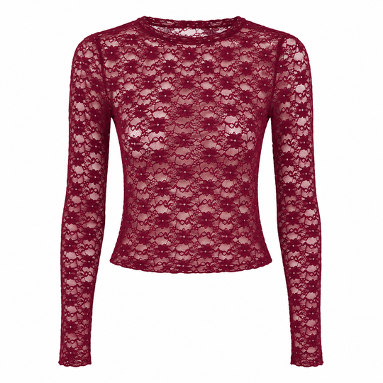 Stretch Lace Long Sleeve Bodycon Top Semi Sheer