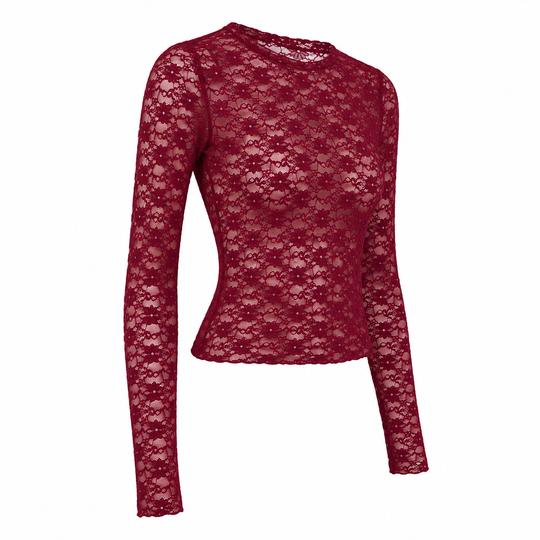 Stretch Lace Long Sleeve Bodycon Top Semi Sheer