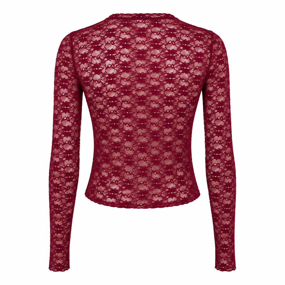 Stretch Lace Long Sleeve Bodycon Top Semi Sheer