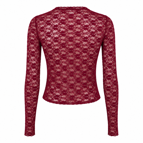Stretch Lace Long Sleeve Bodycon Top Semi Sheer