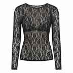 Stretch Lace Long Sleeve Bodycon Top Semi Sheer