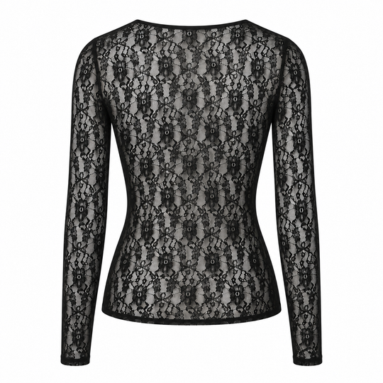Stretch Lace Long Sleeve Bodycon Top Semi Sheer