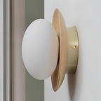 Scandinavian round wall light with globe shade, minimalist indoor wall sconce