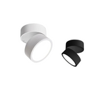 LED ceiling spotlight adjustable rotating head, minimalist aluminum, black and white