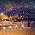 Solar garden lights 3-pack LED orbs waterproof cool white outdoor stake lights