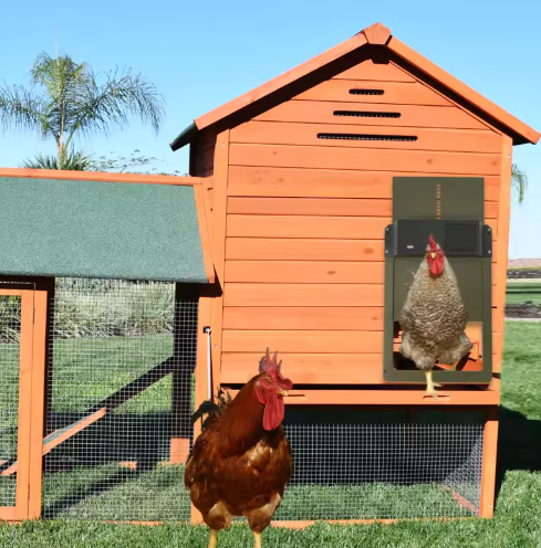 Automatic chicken coop door system solar battery powered brown green red