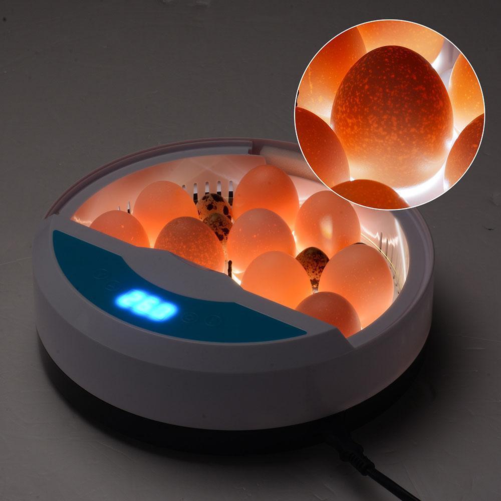 Automatic LED egg incubator with digital temperature control and built-in candler