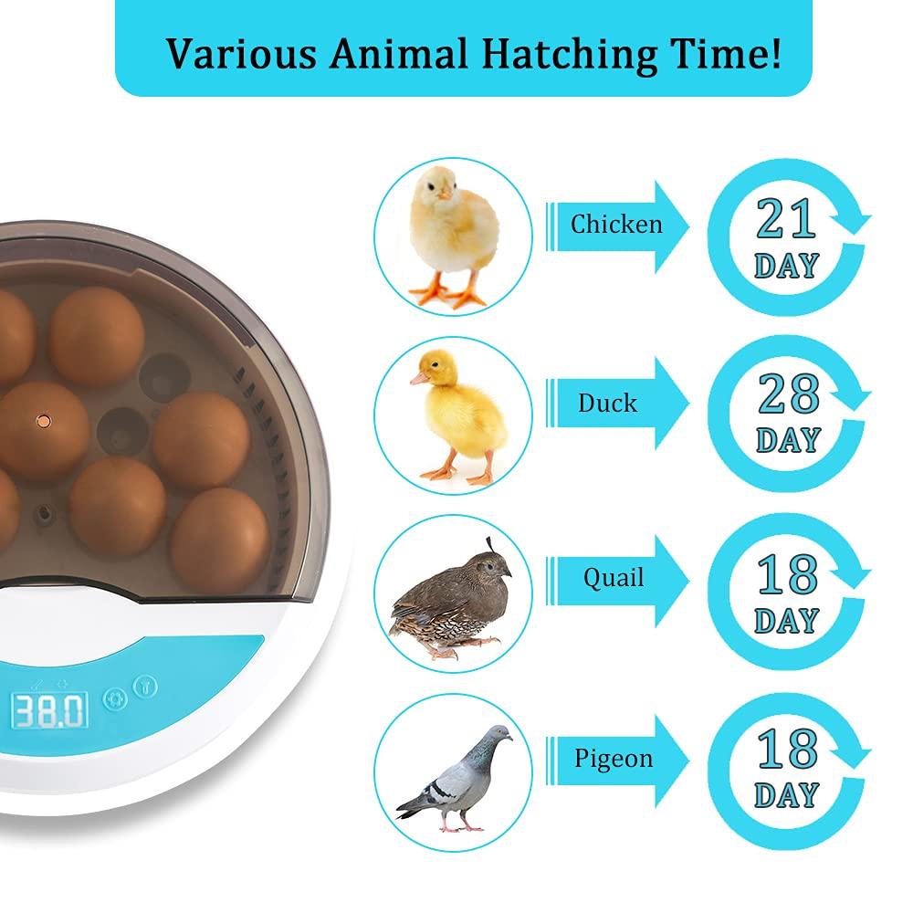 Automatic LED egg incubator with digital temperature control and built-in candler