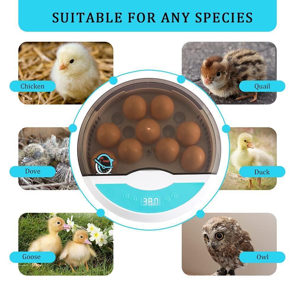 Automatic LED egg incubator with digital temperature control and built-in candler