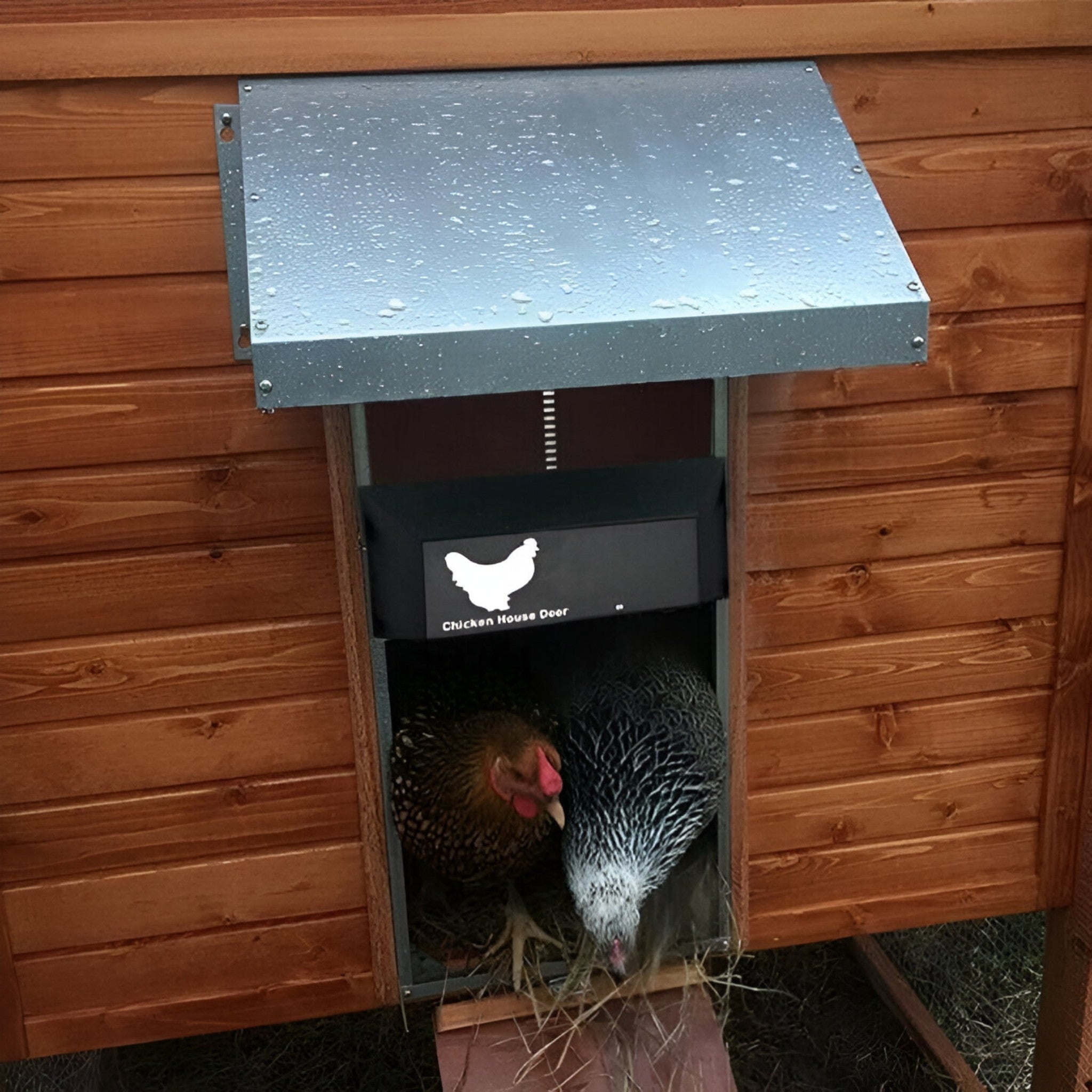 Automatic chicken coop door opener with light sensor battery powered weatherproof