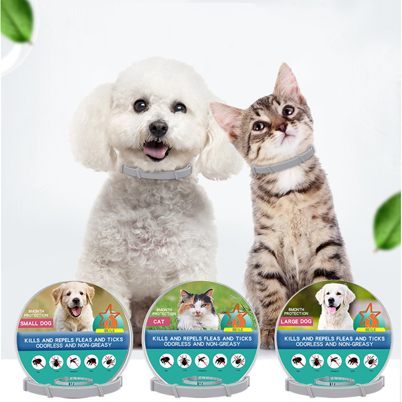 Bio flea and tick collar for cats and dogs natural 8 month waterproof protection