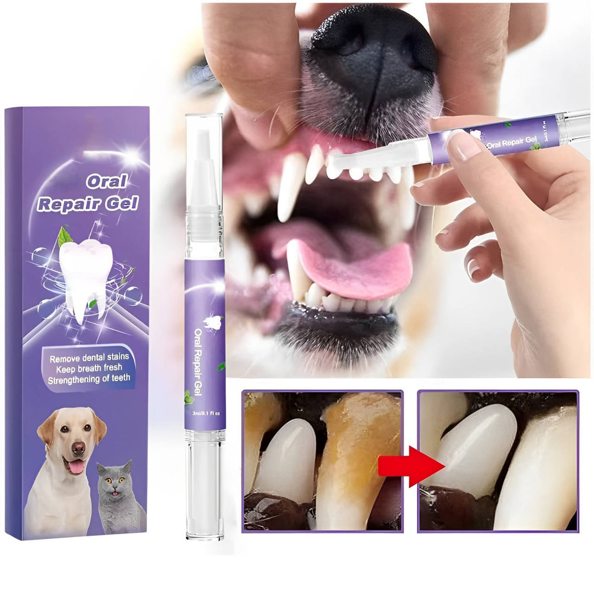 Dog oral repair gel whitening and breath freshening 3-pack, pet-safe plant formula