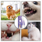 Dog oral repair gel whitening and breath freshening 3-pack, pet-safe plant formula