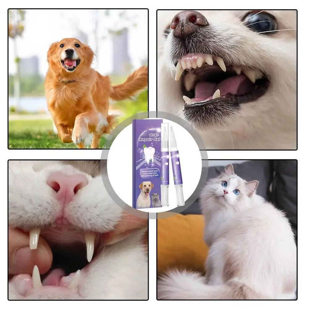 Dog oral repair gel whitening and breath freshening 3-pack, pet-safe plant formula
