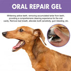 Dog oral repair gel whitening and breath freshening 3-pack, pet-safe plant formula