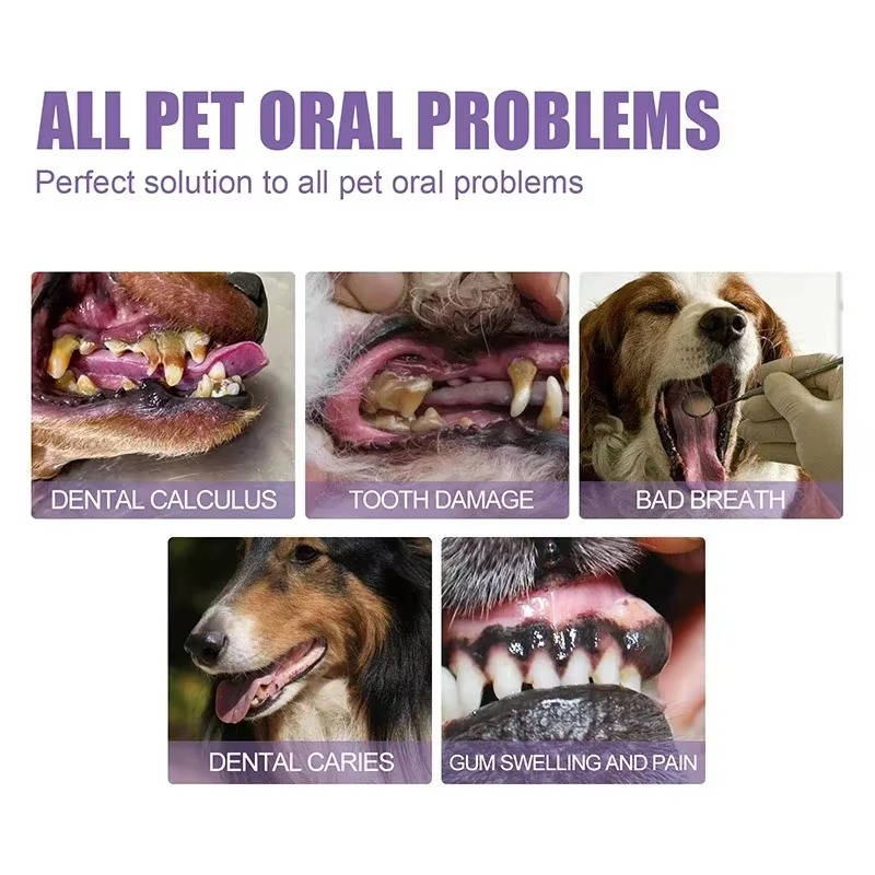 Dog oral repair gel whitening and breath freshening 3-pack, pet-safe plant formula
