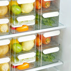Refrigerator storage box food-safe PET container single and double layer