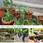 Automatic drip irrigation system with adjustable sprinklers and optional timer