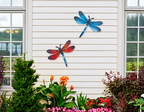 Metal dragonfly wall art, vibrant outdoor garden wall decoration, durable and weather-resistant