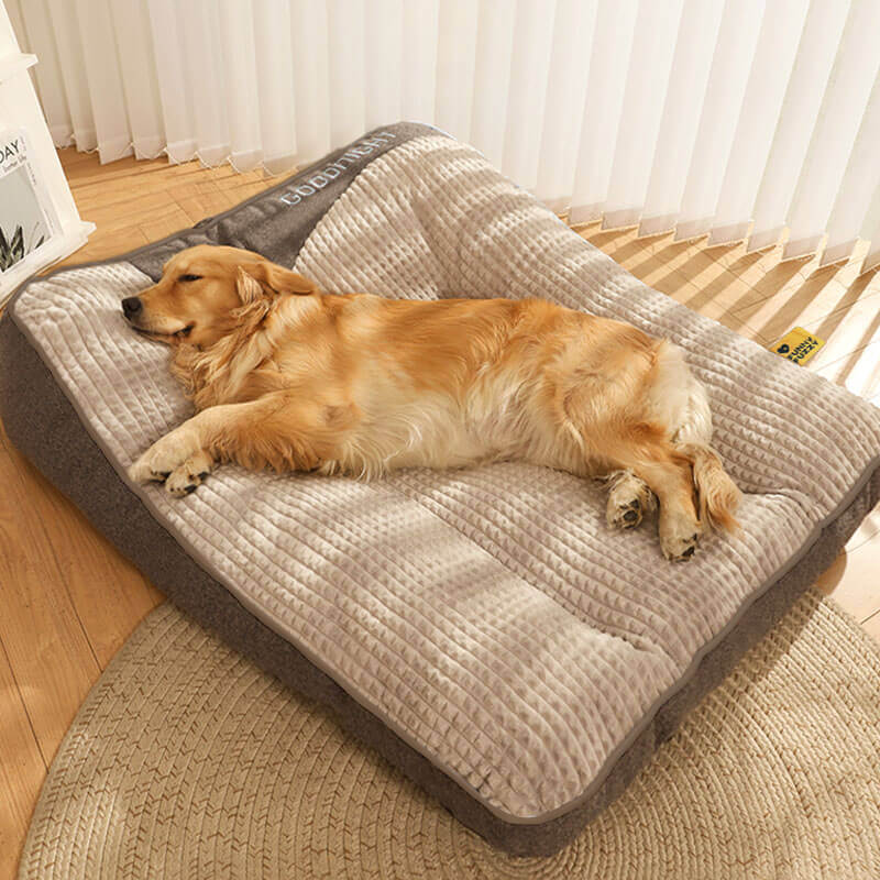 Orthopaedic dog bed large with memory foam, raised headrest and washable velvet cover