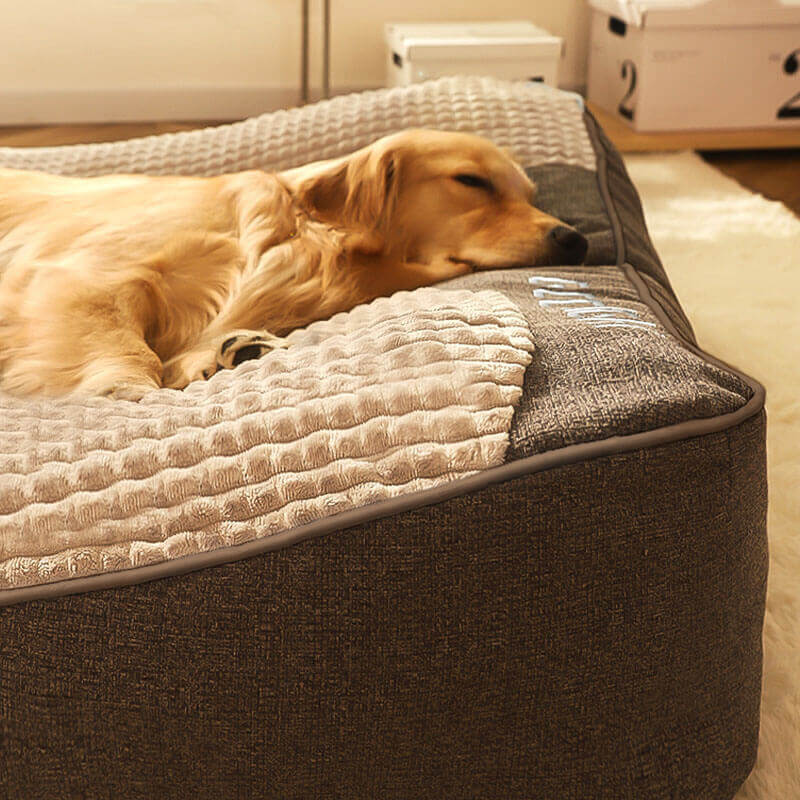 Orthopaedic dog bed large with memory foam, raised headrest and washable velvet cover