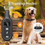 Black dog training e-collar with 1000m remote range, waterproof and rechargeable