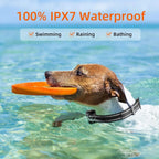 Black dog training e-collar with 1000m remote range, waterproof and rechargeable