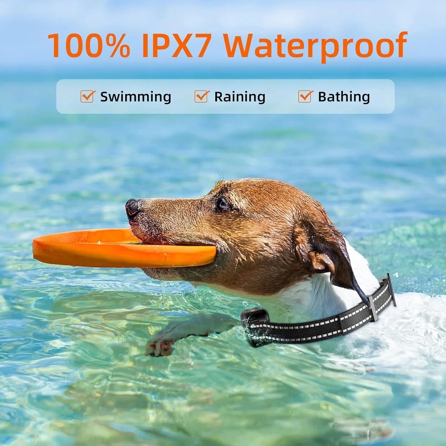 Black dog training e-collar with 1000m remote range, waterproof and rechargeable