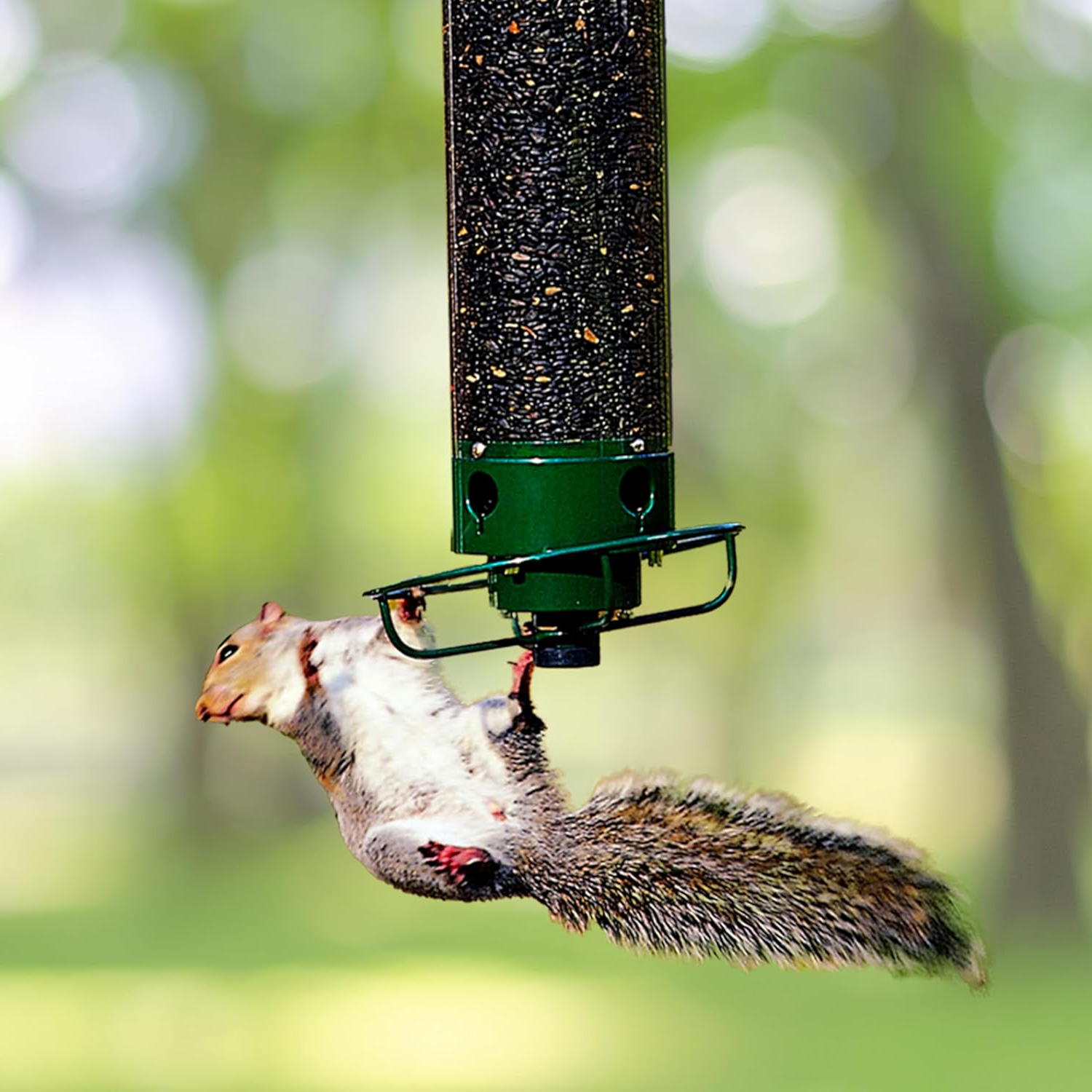 Squirrel proof bird feeder with rotating perch, 4 feeding ports and heavy-duty metal construction