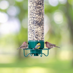 Squirrel proof bird feeder with rotating perch, 4 feeding ports and heavy-duty metal construction